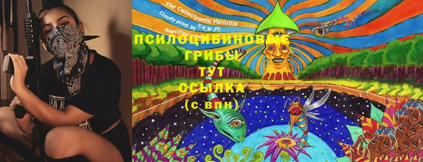 марки lsd Алексеевка